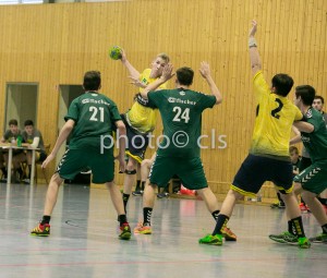 Der Tag der Junglöwen brachte sehr guten Handball (Foto: cls)